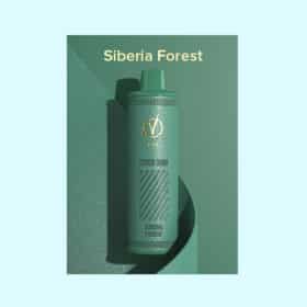 Siberia Forest