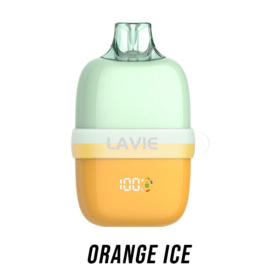 Orange ICE